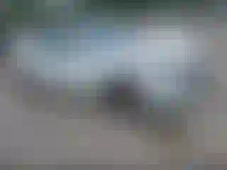 Vehicle Image- 2013 Tesla Model S