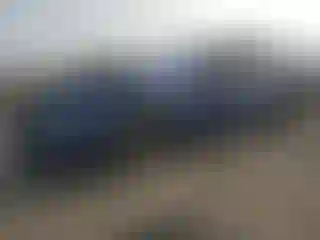Vehicle Image- 2019 Tesla Model S