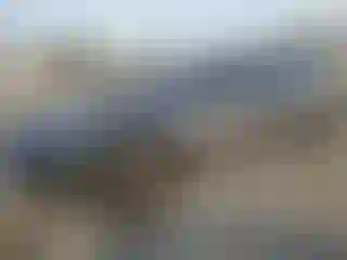 Vehicle Image- 2020 Tesla Model S