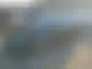 Vehicle Image- 2019 Tesla Model S