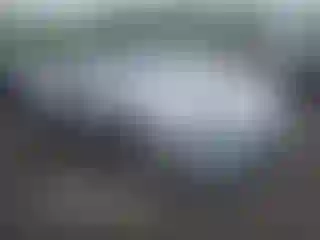 Vehicle Image- 2018 Tesla Model S