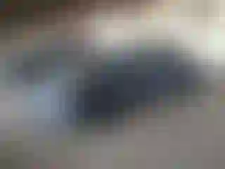 Vehicle Image- 2020 Tesla Model S