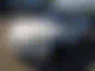 Vehicle Image- 2019 Tesla Model S