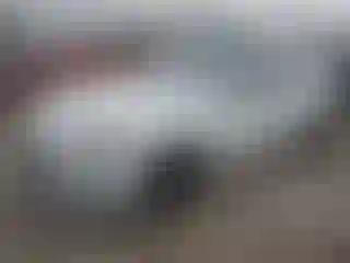 Vehicle Image- 2015 Tesla Model S