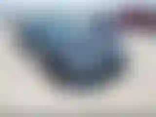 Vehicle Image- 2017 Tesla Model S