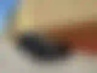 Vehicle Image- 2022 Tesla Model S