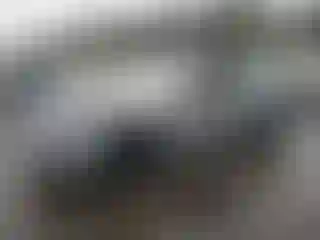 Vehicle Image- 2024 Tesla Model S