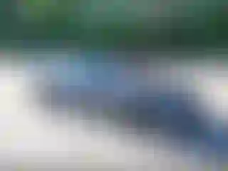 Vehicle Image- 2022 Tesla Model S