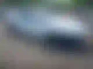 Vehicle Image- 2022 Tesla Model S
