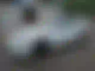 Vehicle Image- 2022 Tesla Model S