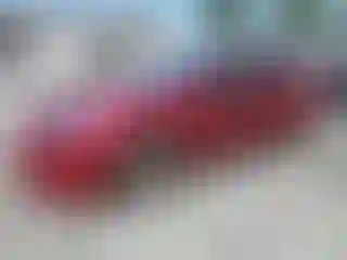 Vehicle Image- 2023 Tesla Model S