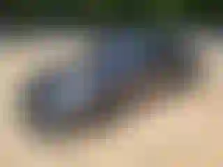 Vehicle Image- 2022 Tesla Model S