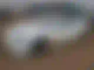 Vehicle Image- 2022 Tesla Model S