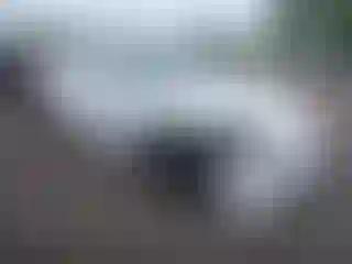 Vehicle Image- 2021 Tesla Model S