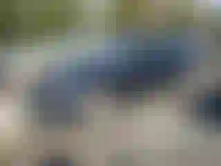 Vehicle Image- 2015 Tesla Model S