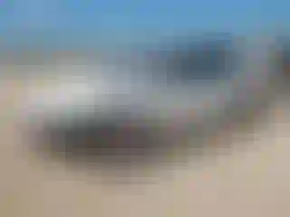 Vehicle Image- 2020 Tesla Model X