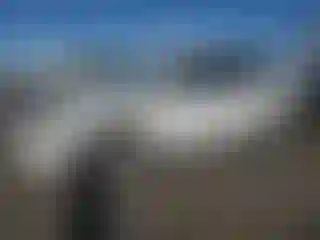 Vehicle Image- 2020 Tesla Model X