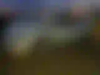 Vehicle Image- 2020 Tesla Model X