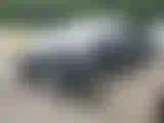 Vehicle Image- 2017 Tesla Model X