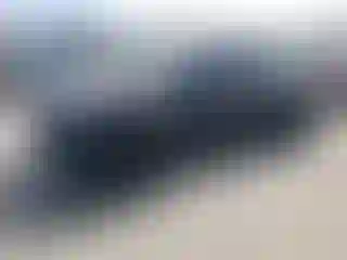 Vehicle Image- 2021 Tesla Model Y
