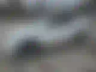 Vehicle Image- 2021 Tesla Model Y