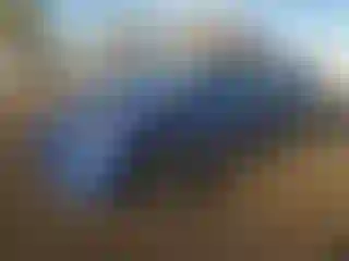 Vehicle Image- 2021 Tesla Model Y