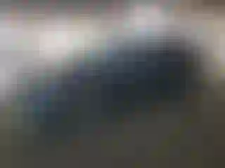 Vehicle Image- 2021 Tesla Model Y