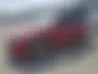 Vehicle Image- 2021 Tesla Model Y