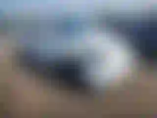 Vehicle Image- 2021 Tesla Model Y