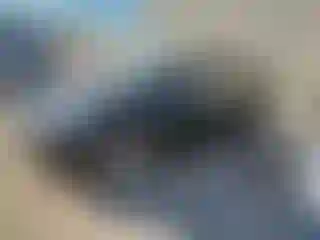 Vehicle Image- 2021 Tesla Model Y