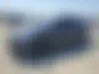 Vehicle Image- 2021 Tesla Model Y