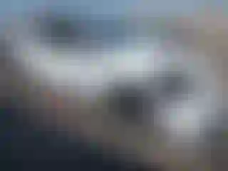 Vehicle Image- 2021 Tesla Model Y