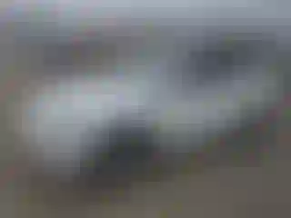 Vehicle Image- 2021 Tesla Model Y