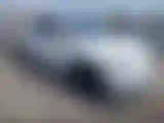 Vehicle Image- 2020 Tesla Model Y