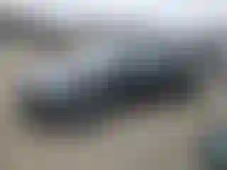 Vehicle Image- 2020 Tesla Model Y