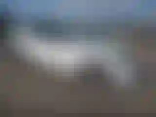 Vehicle Image- 2021 Tesla Model Y