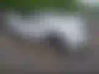 Vehicle Image- 2021 Tesla Model Y