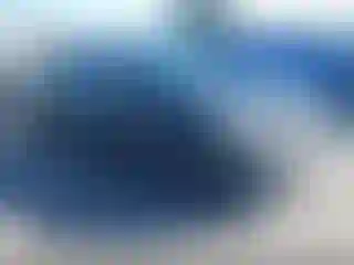 Vehicle Image- 2021 Tesla Model Y