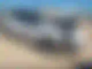 Vehicle Image- 2021 Tesla Model Y
