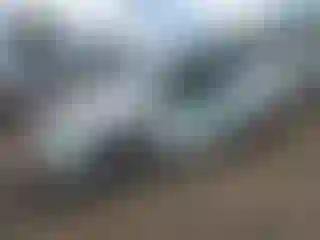 Vehicle Image- 2021 Tesla Model Y