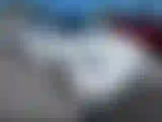 Vehicle Image- 2021 Tesla Model Y