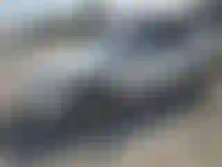 Vehicle Image- 2021 Tesla Model Y
