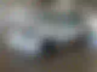 Vehicle Image- 2020 Tesla Model Y