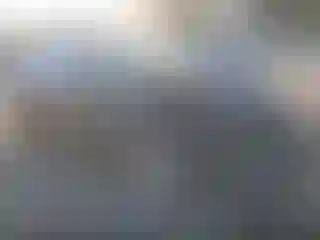 Vehicle Image- 2020 Tesla Model Y