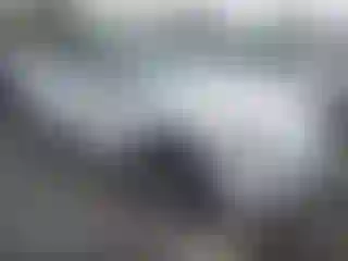 Vehicle Image- 2021 Tesla Model Y