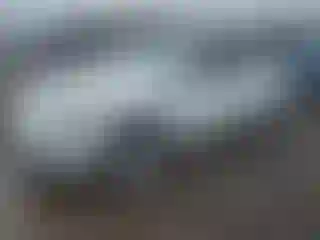 Vehicle Image- 2020 Tesla Model Y