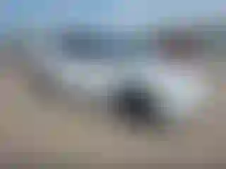 Vehicle Image- 2020 Tesla Model Y