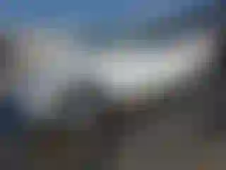 Vehicle Image- 2021 Tesla Model Y