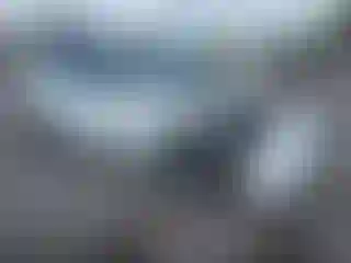 Vehicle Image- 2021 Tesla Model Y