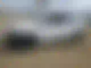 Vehicle Image- 2020 Tesla Model Y
